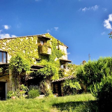Podere Patrignone Guest House Castellina in Chianti Bagian luar foto