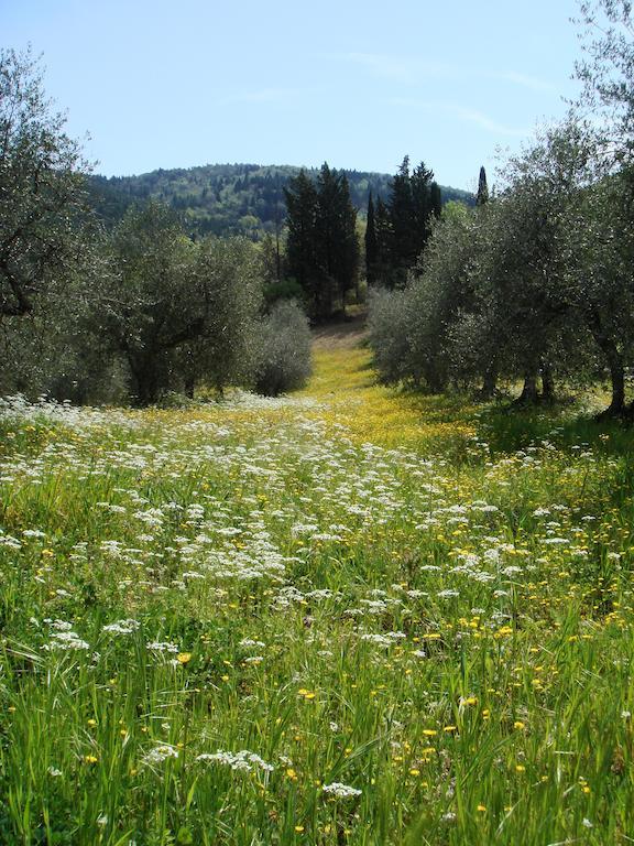 Podere Patrignone Guest House Castellina in Chianti Bagian luar foto