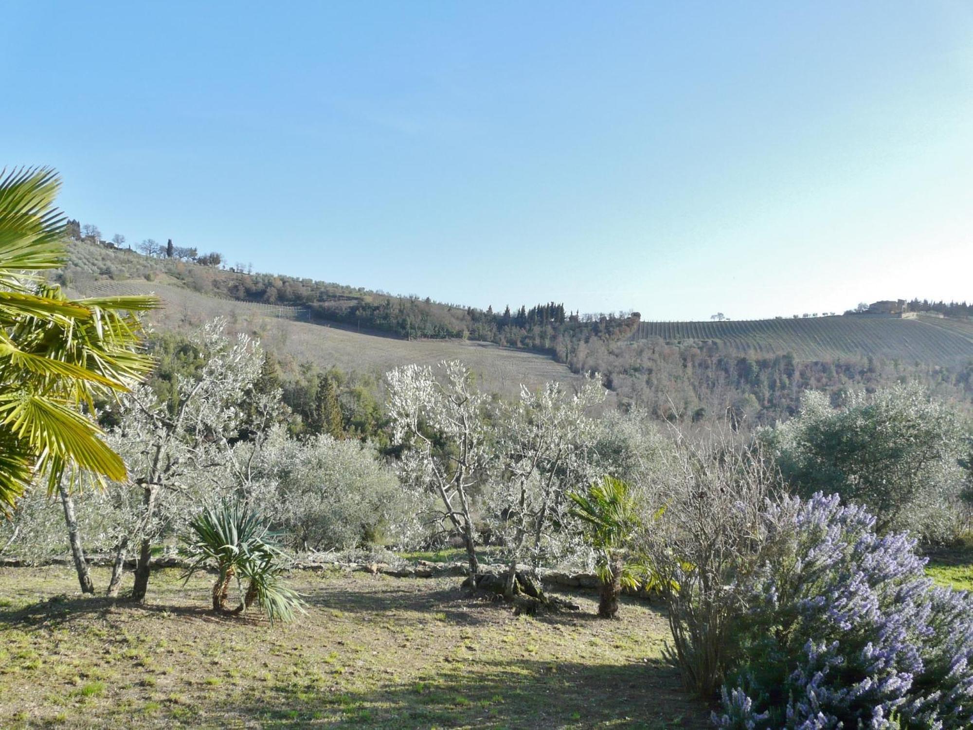 Podere Patrignone Guest House Castellina in Chianti Ruang foto