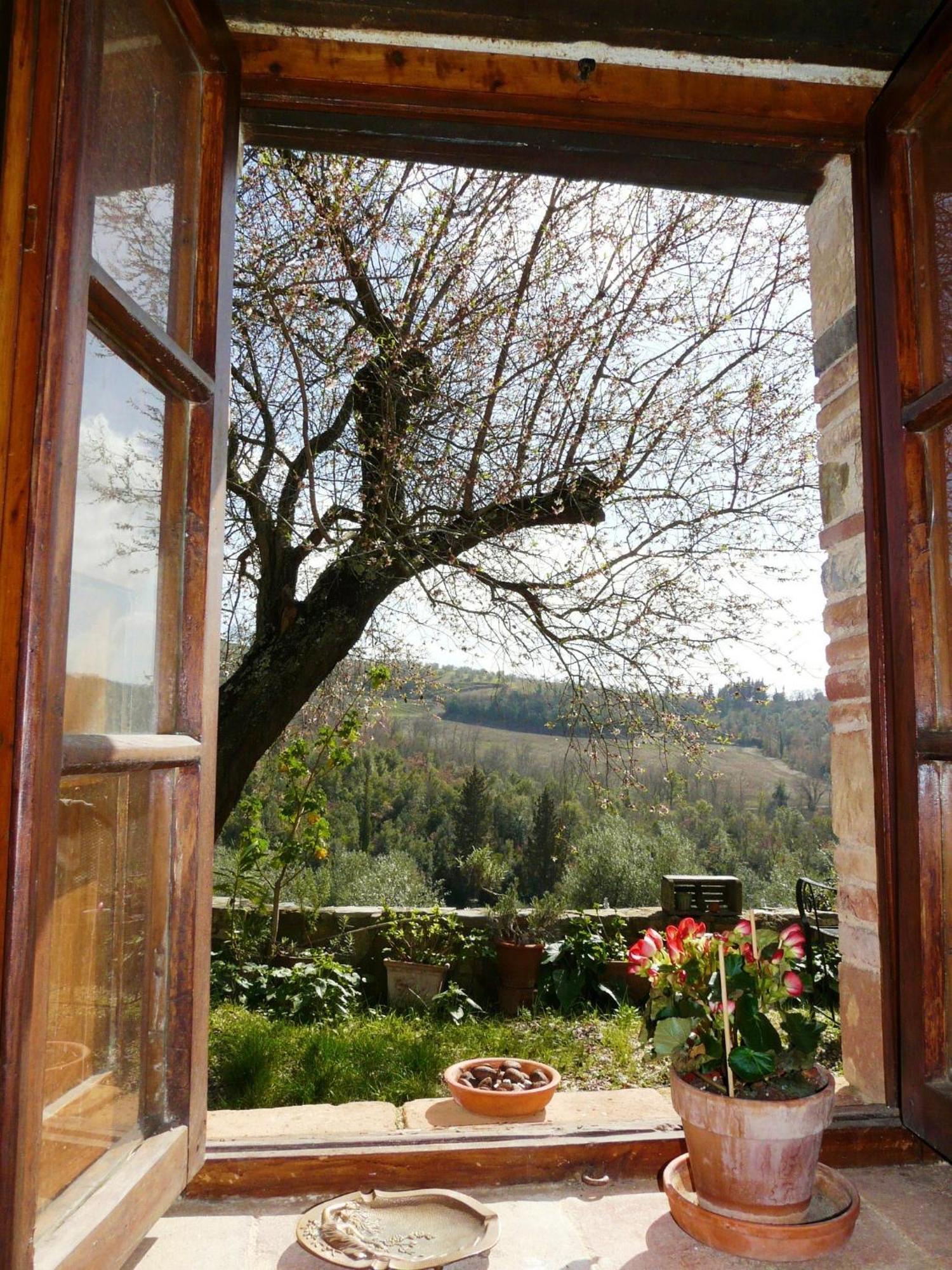 Podere Patrignone Guest House Castellina in Chianti Ruang foto