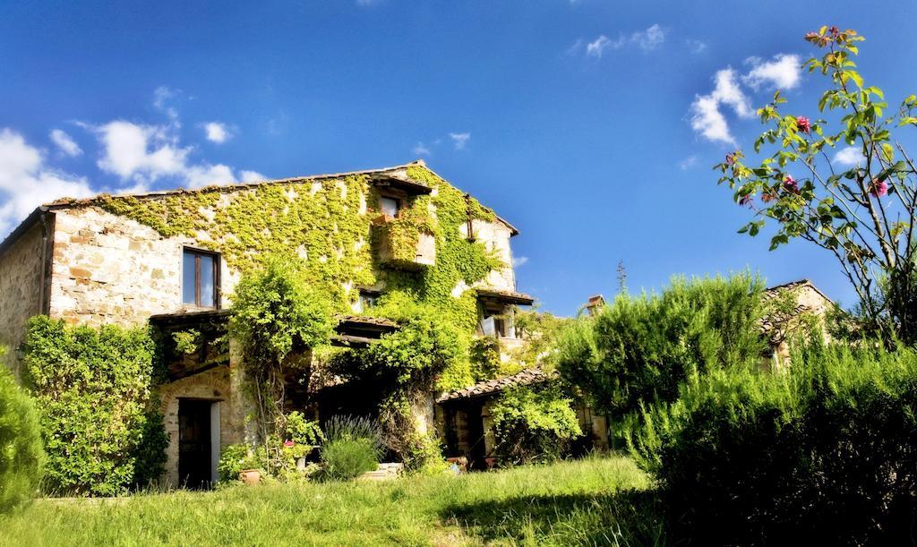 Podere Patrignone Guest House Castellina in Chianti Bagian luar foto